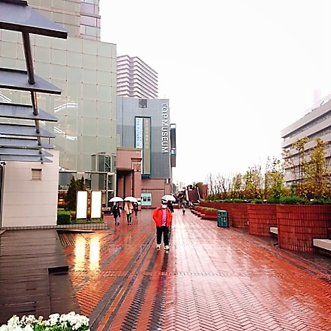 雨の日の恵比寿にある東京都写真美術館へ続く道